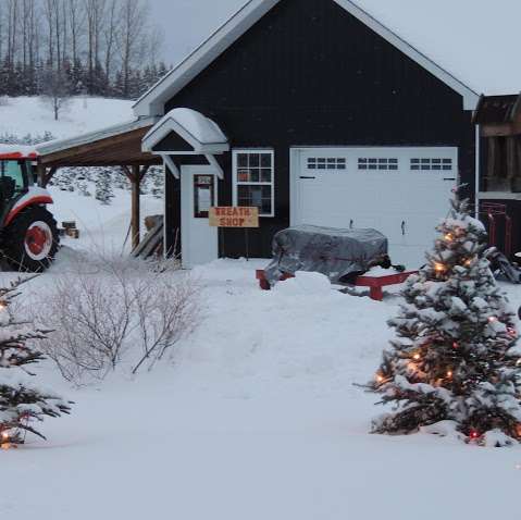 MacGowan's Christmas Tree Farm